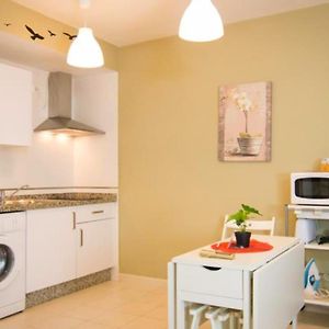 Budget Studio in de Kelder